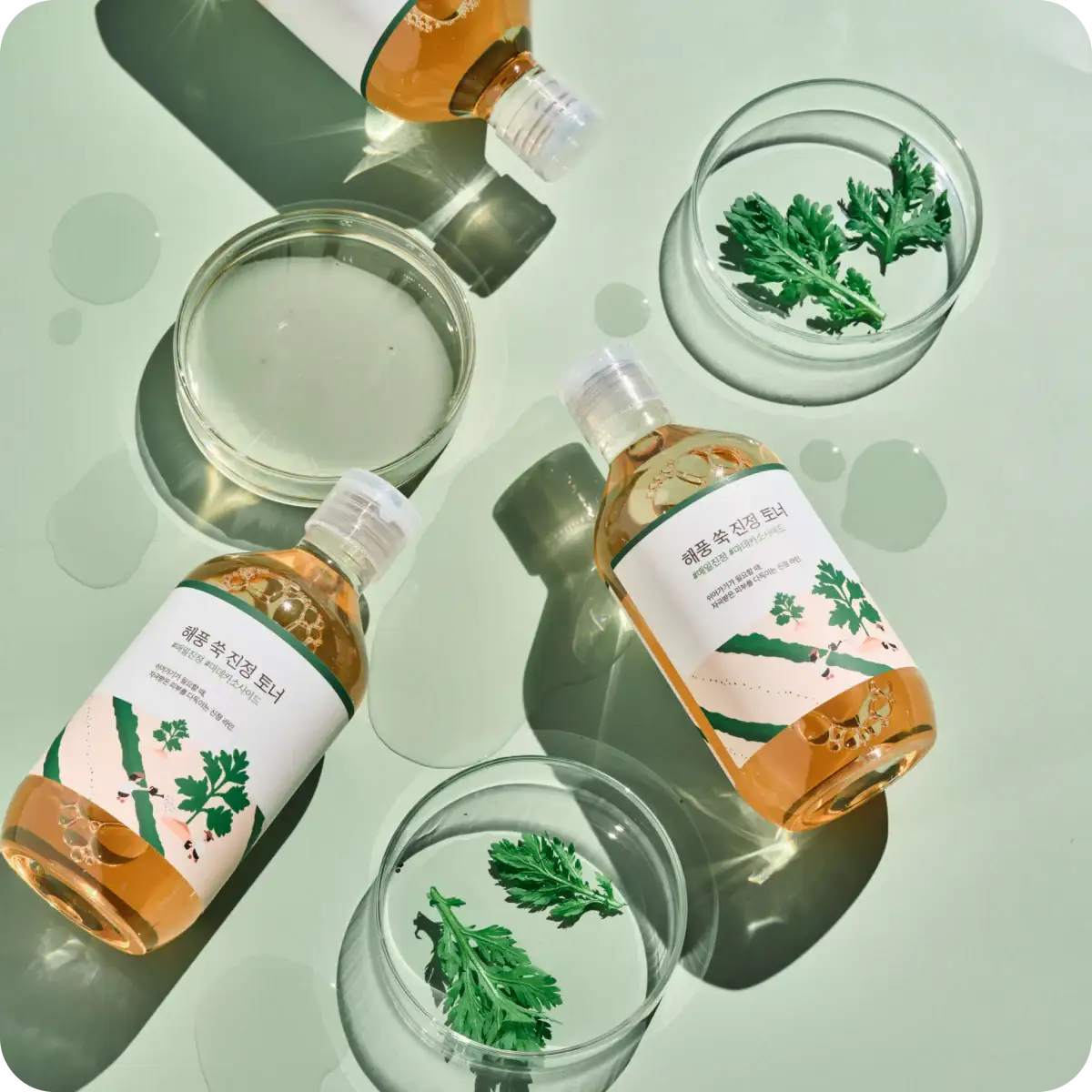 ROUND LAB Успокаивающий тонер Mugwort, 300 мл